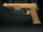 Protocol Pistol