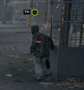 Same Viceroy fleeing