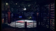 Safehouse BareKnuckleRing.png (8.21 MB) Your first training in fighting