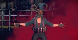 Stage 2 Smoke Bomb Special Fighter