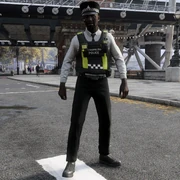A male constable wearng a peaked cap