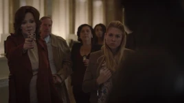 Anti-Vigilante Task Force