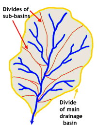 Drainage basin