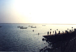 Godavari river