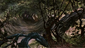 A few rabbits can been seen in a heavily wooded and hidden area