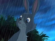Blackberry in the rain