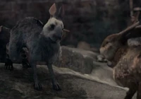 Orchis talking to Hyzenthlay.png (215 KB)