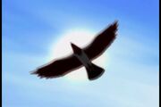 Eagle