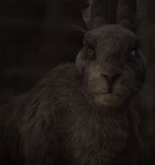 Woundwort CGI.jpg (60 KB) Woundwort CGI