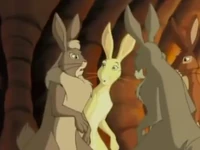 Holly, Bigwig, Primrose and Hazel.