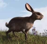 Hawkbit5.png (655 KB) Hawkbit at the end of the series.