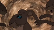 Blackavar | Watership Down Wiki | Fandom