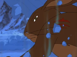 Campion bleeding before he gets separated from Watership Down.