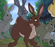 Gentian (374 KB) Gentian (TV series only)