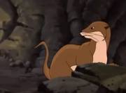 The weasel's trapped