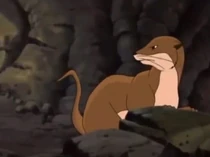 The weasel's trapped