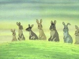Watership Down Warren