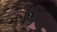Blackavar | Watership Down Wiki | Fandom