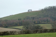 Another view of the hill.