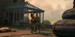 Bigwig is thrown down by Puss.