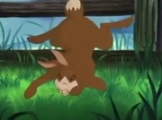 Red fails to catch Hawkbit.