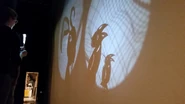 Mandell shadow puppetry.jpg (1.26 MB)