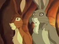 Holly talks about security of the warren.