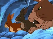 Red at the rock trap