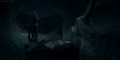 Black Rabbit visits Hazel