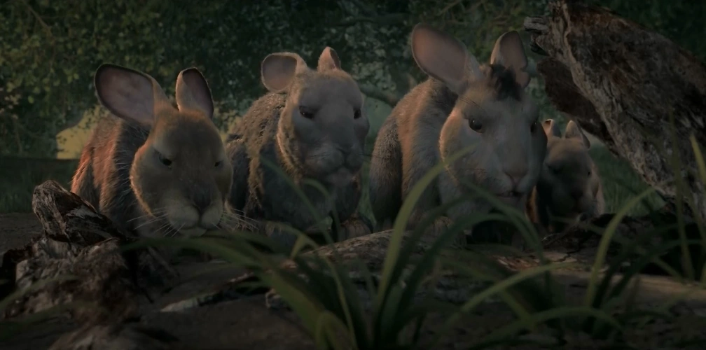 The Siege | Watership Down Wiki | Fandom