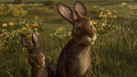 -methode-times-prod-web-bin-d36562ae-0476-11e9-83a9-aa6bb81799a5