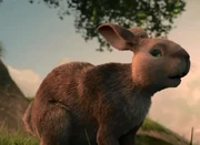 StrawberryMiniseries