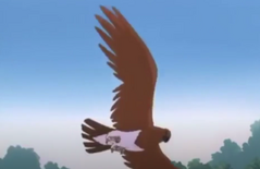 A hawk in Friend and Enemy.