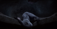 Captain Chervil is killed by Bigwig