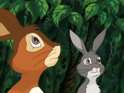Fiver and Hawkbit in the forest