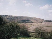 A vast green and yellow countryside.