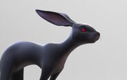 Black rabbit unused 6