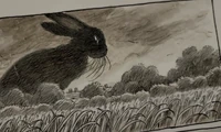 Uncolored panel of the Black Rabbit
