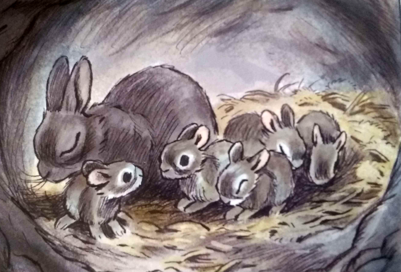 HUG O WaRコラボT-sh（planty hollywood wols） Clover | Watership Down Wiki | Fandom