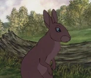 Hyzenthlay at Efrafa