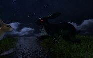 Black rabbit unused 3