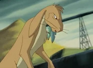 Felspar (483 KB) Felspar