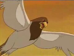 Skree, a friendly hawk.