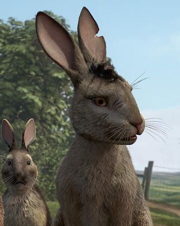 Bigwig Watership Down Wiki Fandom