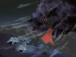 The Black Rabbit rejects Woundwort.