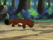Stoat In Watership Down (1999-2001)