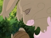 Cowslip holds a carrot