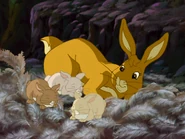 Marigold with her kittens