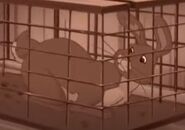 Woundwort in a cage