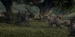 Campion is questioned by General Woundwort.